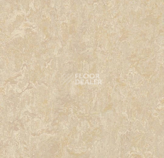 Линолеум Forbo Marmoleum Decibel on Order 249935 sand фото 1 | FLOORDEALER